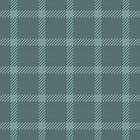 Textil- Design von texturiert Plaid. kariert Stoff Muster Swatch zum Shirt, Kleid, Anzug, Verpackung Papier drucken, Einladung und Geschenk Karte. vektor