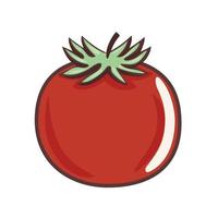 isolerad tomatgrönsak vektor