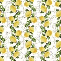 Zitronen sind Gelb, saftig, reif mit Grün Blätter, Blume Knospen auf das Geäst, ganze und Scheiben. Aquarell, Hand gezeichnet botanisch Illustration. nahtlos Muster vektor