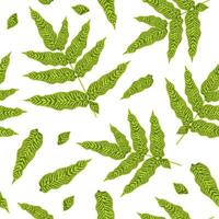 Vektor nahtlos Muster von Grün Blätter. Bild von Koniogramm golden Zebra. Illustration zum Hintergrund.