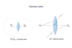 konvex Linse. Schulleiter Axix und optisch Center. Optik. Physik Vektor Illustration.