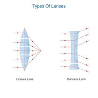 konvex und konkav Linsen. Typen von Linsen. Physik Illustration. vektor