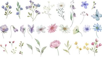 Aquarell Blumen- Satz. Hand gezeichnet Illustration isoliert auf transparent Hintergrund. Vektor Folge.