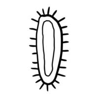 Süßes Doodle-Bakterium, Bazillus, Virus isoliert auf weißem Hintergrund. Zelle Cartoon-Element. vektor