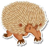 Echidna-Cartoon-Figur auf weißem Hintergrund vektor