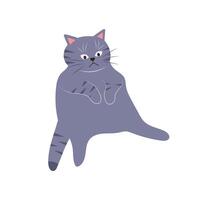 söt rolig katt. fett sällskapsdjur djur. tecknad serie karaktär. platt vektor illustration.