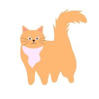 söt rolig katt. fett sällskapsdjur djur. tecknad serie karaktär. platt vektor illustration.