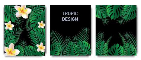 uppsättning av banderoller tillverkad från tropisk löv, grön djungel växter och exotisk plumeria blommor. naturlig ram med banan och monstera lövverk, kokos handflatan. posters med realistisk element för din design vektor
