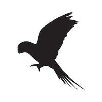 fågel silhuetter vit bakgrund. vektor illustration