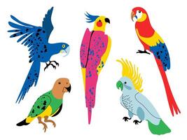 Sammlung von tropisch Papageien. einstellen von Abbildungen von süß Karikatur Papageien im hell Farben. Vektor isoliert Elemente auf Weiß Hintergrund.