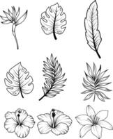 uppsättning av tropisk blommor och löv. skiss av tropisk löv och blommor. vektor illustration