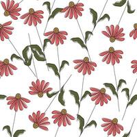 Gänseblümchen Blume Muster Hintergrund vektor