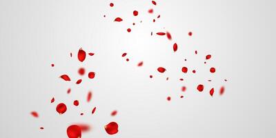 rot Rose Blütenblätter werden fallen auf abstrakt Blumen- Hintergrund mit Herrlich Rose Blütenblatt Gruß Karte Design. vektor