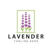 Lavendel Logo einfach Design Vektor kosmetisch Pflanze lila Farbe und Aromatherapie Lavendel Blume Garten Vorlage