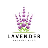 lavendel- logotyp enkel design vektor kosmetisk växt lila Färg och aromaterapi lavendel- blomma trädgård mall