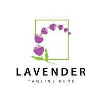 lavendel- logotyp enkel design vektor kosmetisk växt lila Färg och aromaterapi lavendel- blomma trädgård mall