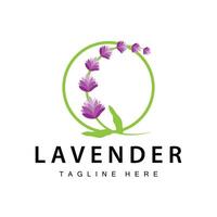 Lavendel Logo einfach Design Vektor kosmetisch Pflanze lila Farbe und Aromatherapie Lavendel Blume Garten Vorlage