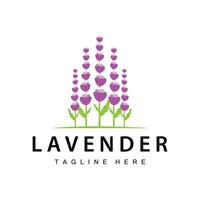 Lavendel Logo einfach Design Vektor kosmetisch Pflanze lila Farbe und Aromatherapie Lavendel Blume Garten Vorlage