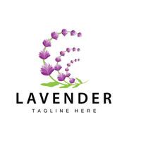 Lavendel Logo einfach Design Vektor kosmetisch Pflanze lila Farbe und Aromatherapie Lavendel Blume Garten Vorlage