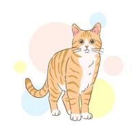 ritad för hand stående tabby katt med färgrik cirklar bakgrund vektor