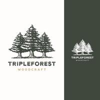 Kiefer immergrün Zeder Zypresse Lärche Pinus Baum Wald Jahrgang retro Hipster Hand gezeichnet Logo Design Illustration vektor