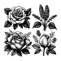 uppsättning av blommig hand dragen stil. blomma reste sig, pion, löv för dekoration. svart och vit vektor blommor illustration