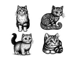 uppsättning av katter illustration. hand dragen katt svart och vit vektor illustration. isolerat vit bakgrund