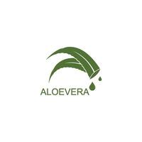 aloe vera logotyp vektor illustration mall