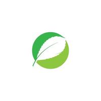 logotyper av gröna blad ekologi natur element vektor ikon