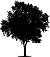 ai generiert Silhouette Baum Natur schwarz Farbe nur vektor