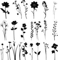 ai generiert Silhouette Frühling Blume Sammlung schwarz Farbe nur vektor