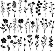 ai generiert Silhouette Frühling Blume Sammlung schwarz Farbe nur vektor