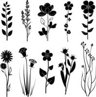 ai generiert Silhouette Frühling Blume Sammlung schwarz Farbe nur vektor