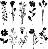 ai generiert Silhouette Frühling Blume Sammlung schwarz Farbe nur vektor