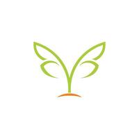 Brief y elegant Pflanze Boden Logo Vektor