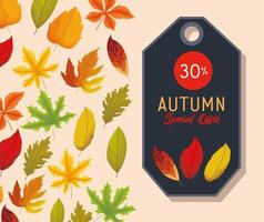 Herbst Sonderangebot Label vektor