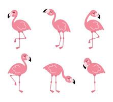 söt tecknad serie rosa flamingo uppsättning. exotisk fåglar i annorlunda poserar. vektor illustration