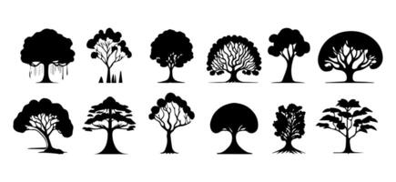 en samling av skuggig träd silhuetter av olika typer. svart och vit tropisk träd vektor för design behov