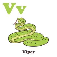 Viper Alphabet Karikatur Charakter zum Kinder vektor