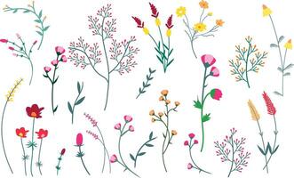 uppsättning av blommor och växter på en vit bakgrund. vektor illustration.