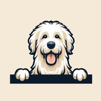 ai generiert komondor Hund spähen Gesicht Illustration kostenlos Vektor