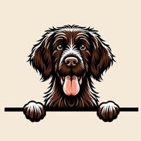 ai generiert Deutsche drahthaarig Zeiger Hund spähen Gesicht Illustration kostenlos Vektor