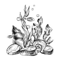 unter Wasser Welt Clip Art mit Meer Tiere Fische, Muscheln, Koralle und Algen. Grafik Illustration Hand gezeichnet im schwarz Tinte. Komposition eps Vektor. vektor