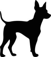 Spielzeug Manchester Terrier schwarz Silhouette vektor