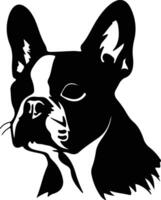 boston terrier svart silhuett vektor