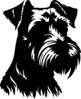 Standard Schnauzer Silhouette Porträt vektor