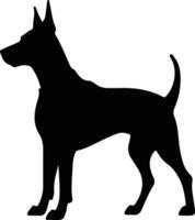 Dobermann Pinscher schwarz Silhouette vektor