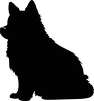 schipperke svart silhuett vektor