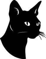 Abessinier Katze Silhouette Porträt vektor