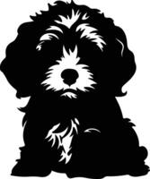 Cockapoo schwarz Silhouette vektor